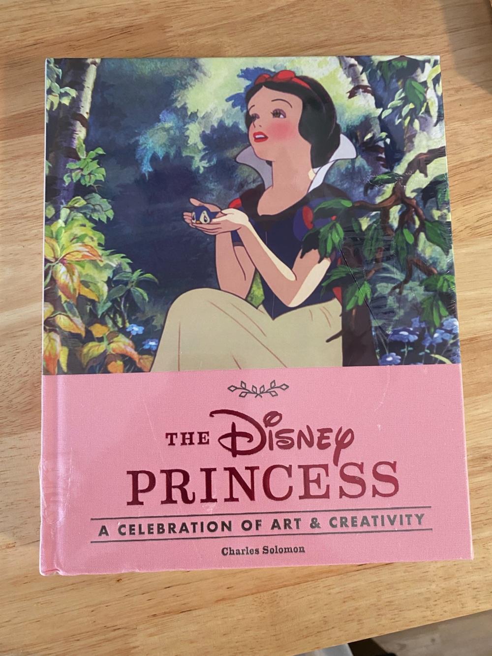 NEW Disney Princess Art Book with Snow White Cover - Pink, Cream, Black, Green